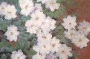 Claude Monet Clematis Norge oil painting reproduction